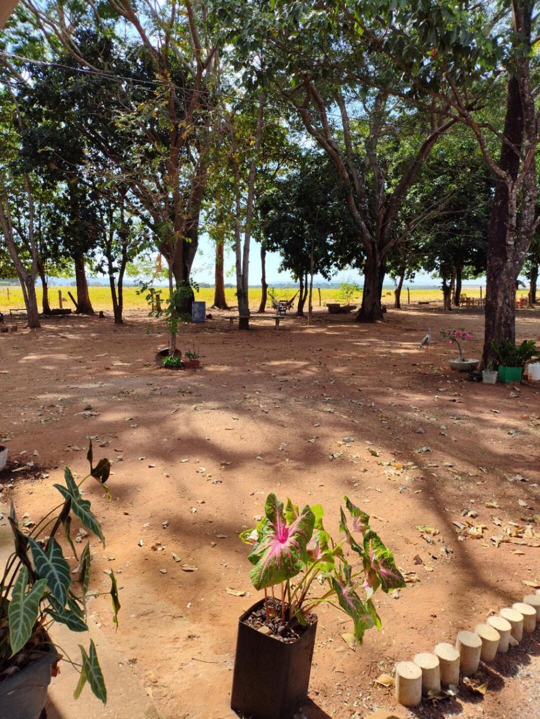 Pousada O Canto Da Seriema Nobres Exterior foto